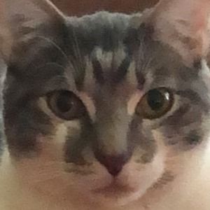 Meet your Posher, Kerry